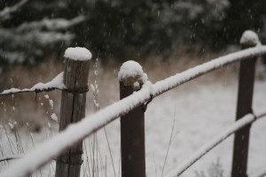 A snow fence