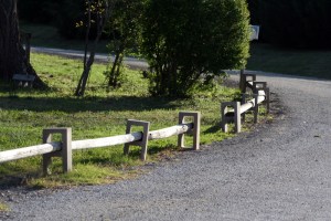 You crazy teenager drivers...stay off my lawn!