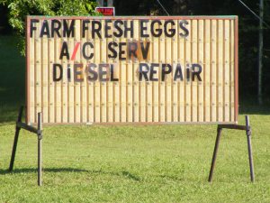 Businesses become more diverse in their services offered