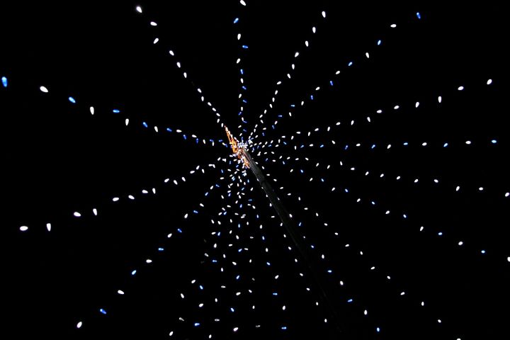 At the hand (foot) of the light-strand Christmas tree...doing a bit of research on the way home tonight