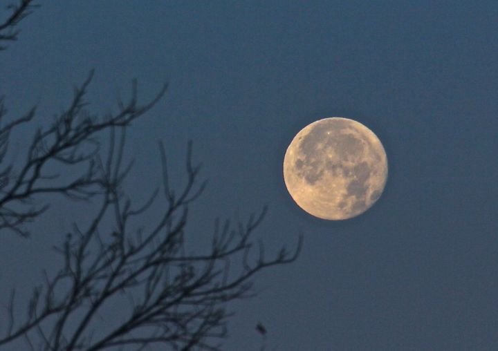 I went down to the lake to catch the 13th and last full moon moonset of 2012....