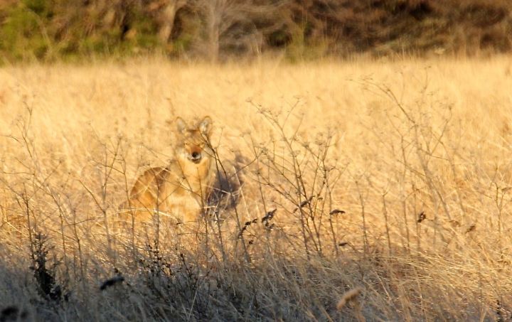 They seemed as curious about me as I was of them....