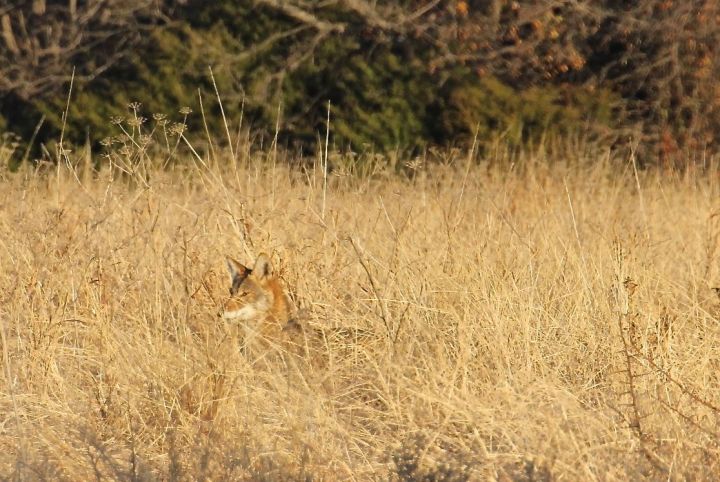 How at times it can raise its head....