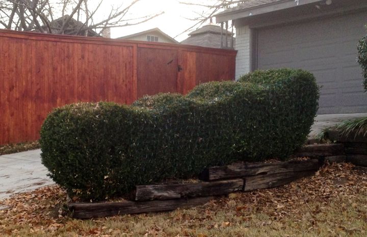 If I didn't know better, I'd say this is really Santa's sleigh disguised as a hedge....