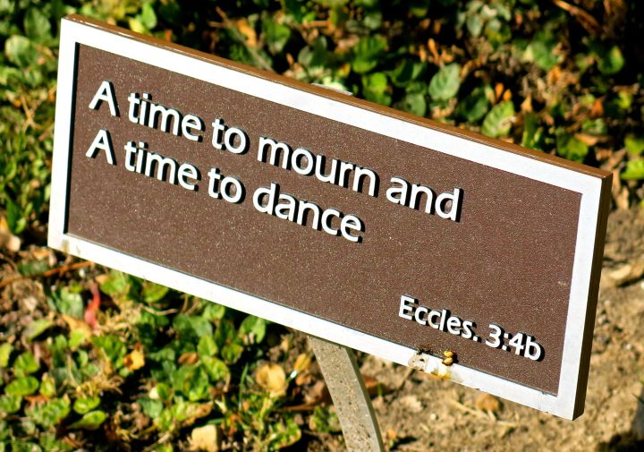There were probably 10 or so plaques scattered about the garden...they made me pause and let a few moments of the day slip by
