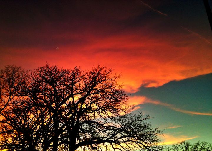 you can make out the sliver of moon right over the tree tops