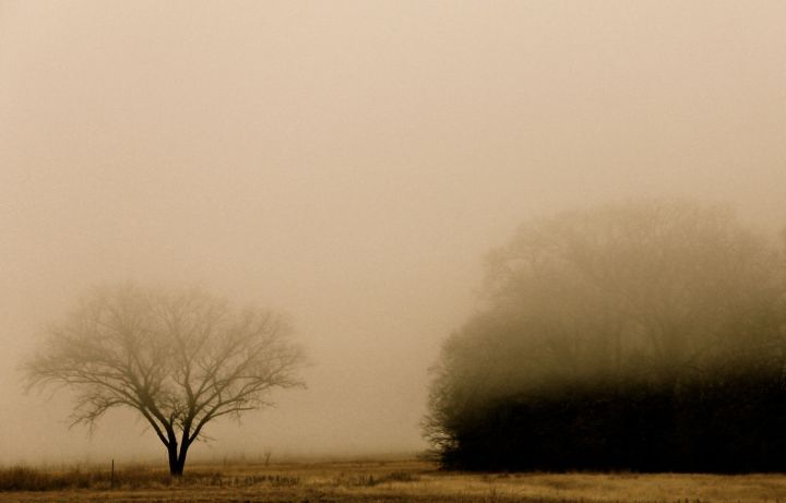 A foggy start to the morning... 