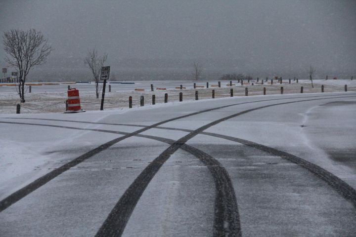"Coming and Going" or "To and Fro". Whichever the case, it is always so much fun to be the first in the park after (or during) a snowfall.