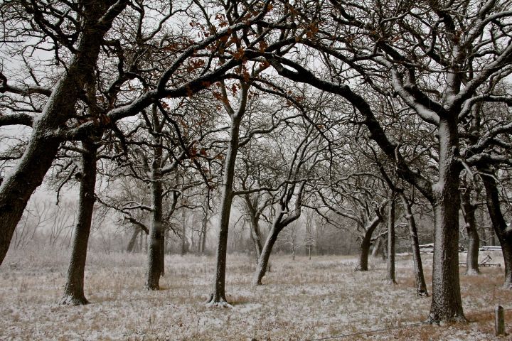 You see things differently when it snows (or fogs)...this looks like it could be an old farm road, or just a natural, coincidental clearing in the trees 