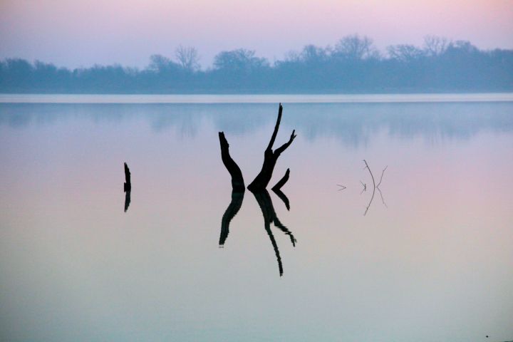 The tranquility of stumps....