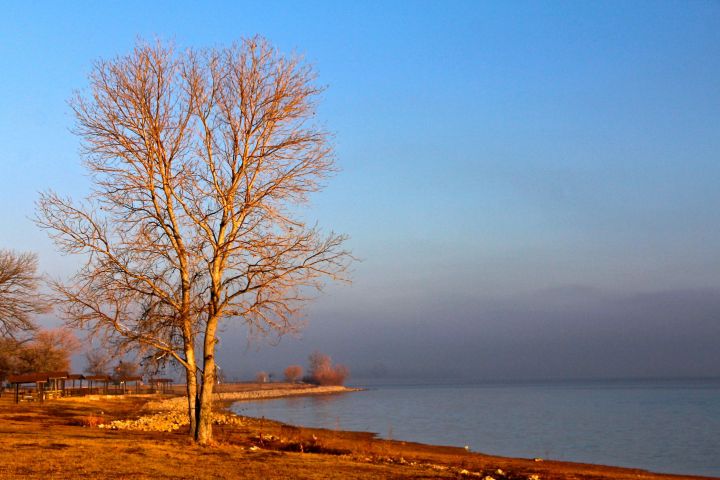 With the sunrise to my right, I  found something - not sure what - about this shot to my liking....