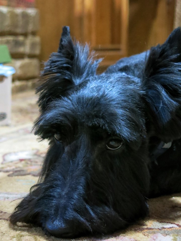 20130202-230813.jpg
