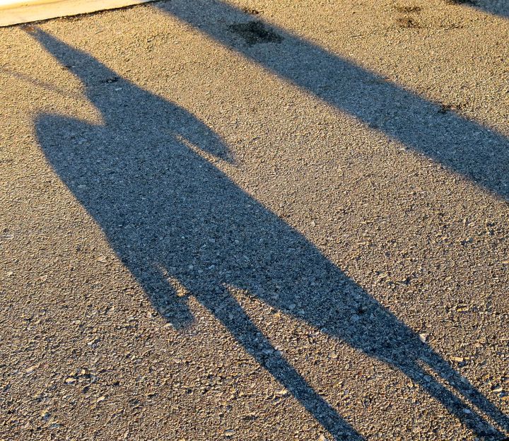 Went for a walk with the Princess Zoey this morning...she gave me a somewhat classic Scottie silhouette 