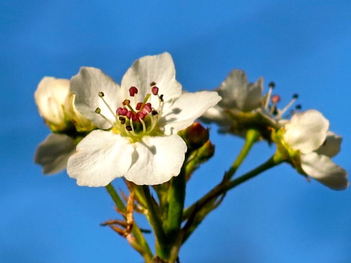 But it's kind of purdy....