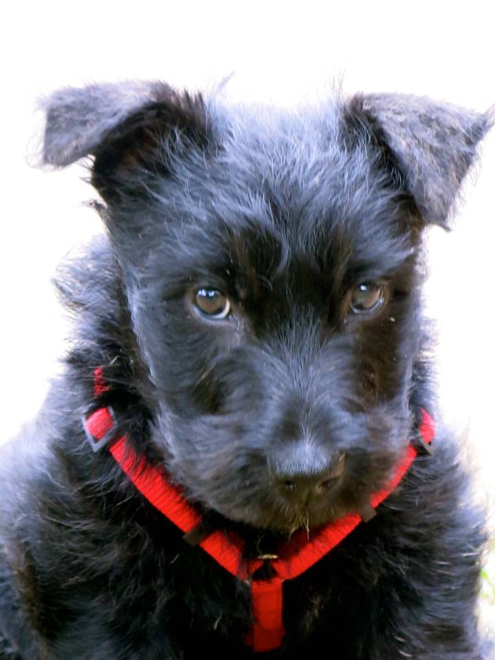 And from this you can start to see a personality in the making....