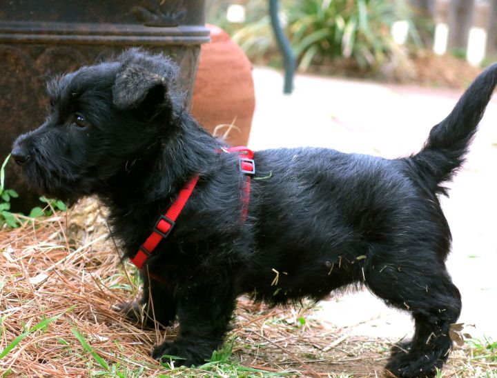 He's growing fast...