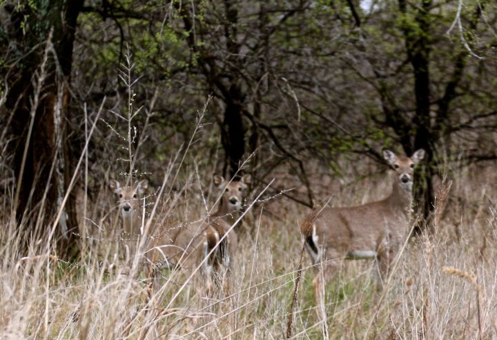 But then I heard them say " oh! It you....again. Where you been lately?"