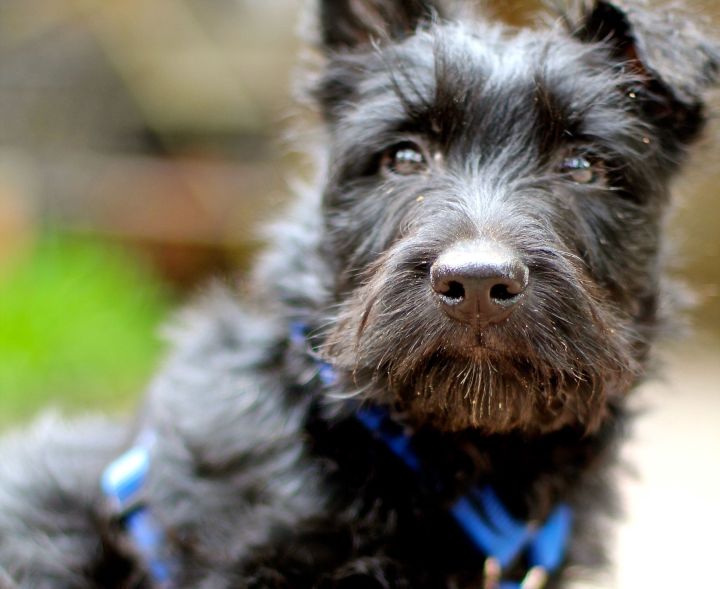 The Prince turns 3 months old tomorrow...