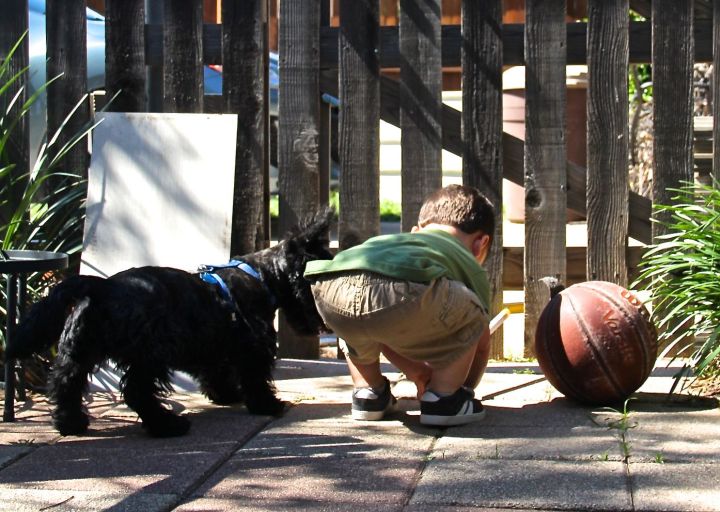 Just being busy...Living life simply and experiencing the world through his perspective