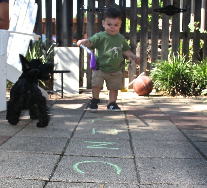 A boy (grandson) outdoors, a puppy infatuated with someone of similar size and ornery spirit, a golf stick, and sidewalk chalk ...Living life enjoyably and experiencing the world through his perspective