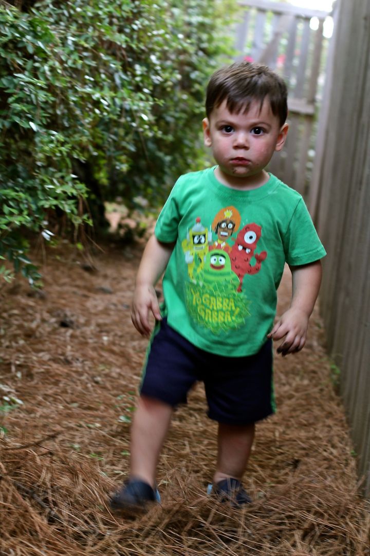 Lincoln came to see us a few weeks ago. I think he likes exploring in Grandpa's backyard....