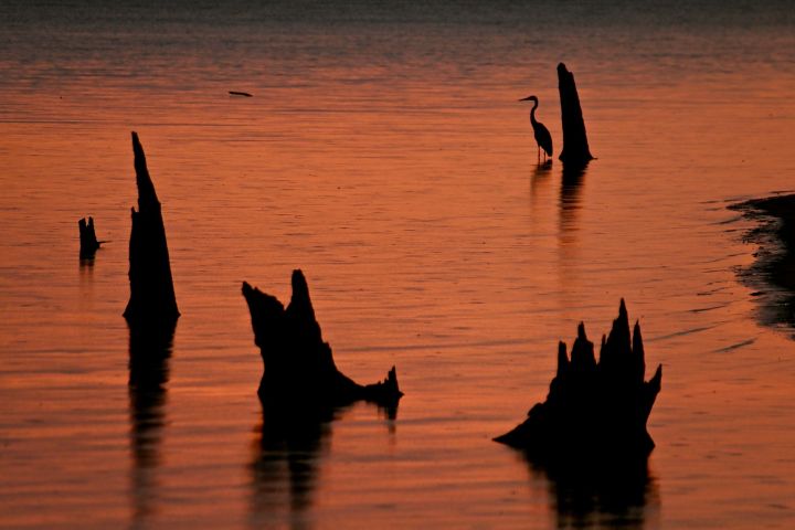 And they too had an old friend there visiting, talking, and just watching an orange-glow sunrise start the day.