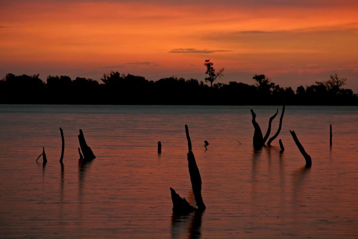 Before leaving, I hustled over to my friends, the Stumps. They too have had many a conversation with me to start a morning.