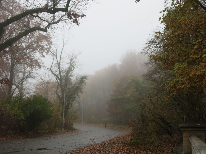 A guy could get used to this...