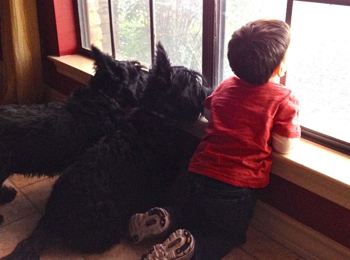 I was texted this picture on the way home from work, from the FDIL (Linc's mom) with the caption "we're waiting for you!"