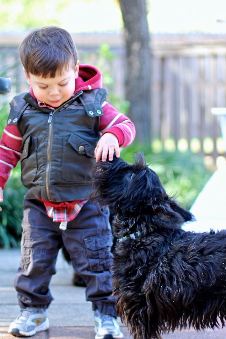 Forever pals now….