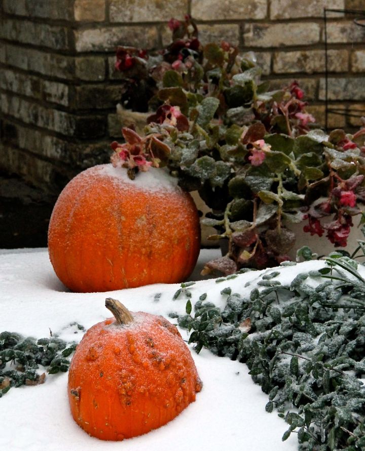 About 3"-4" of mostly ice….