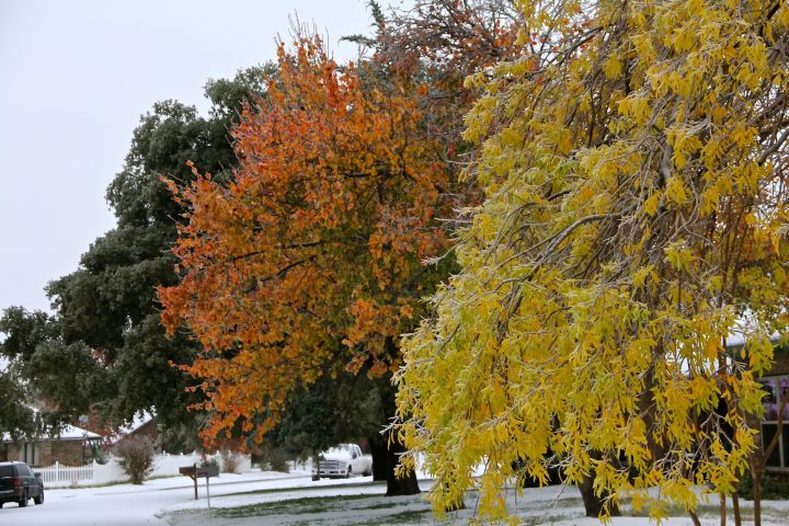 I stood and marveled (not for too long) at the contrast of fall color and why white of snow (ice)….