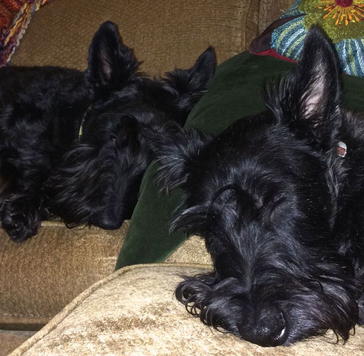 …to start your slumber early 