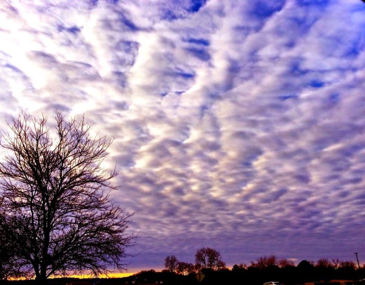 Early morning clouds take their turn making a  statement about this crazy winter weather…. 