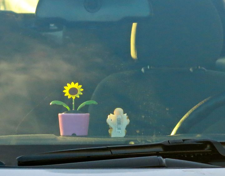 Sometimes its the simplicity of the gesture that might calm the mind…in Dallas rush hour traffic (these items fixed on the dash of a compact car) 