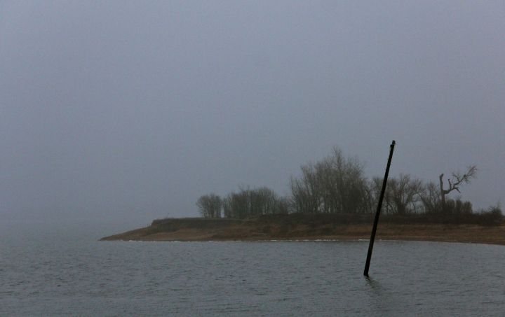The island is now a peninsula…with some interesting vegetation (and non-green) shapes on a foggy Sunday morning….