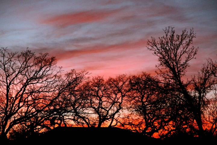 The evening begins with a setting sun that gives way to a colorful sky….