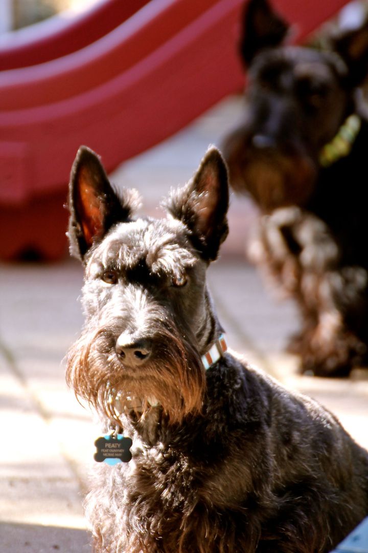 And sometimes a bit grumpy looking….