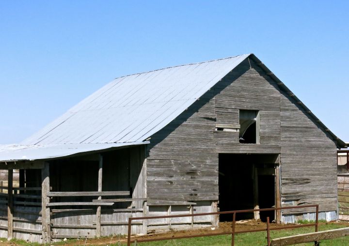 A stubborn and lasting remnant of rural life hangs on at the edge of town…..