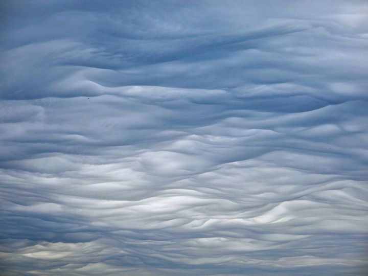 Someone more knowledgable than me needs to tell me what these softy , billowy, mattressey clouds are really called.