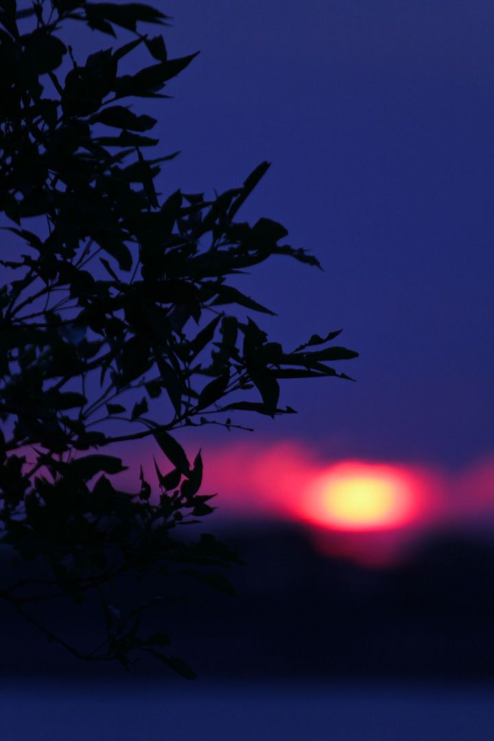 Funny how they turn out having the day before's camera settings for the next morning's sunrise. Give me another cup of coffee please…..