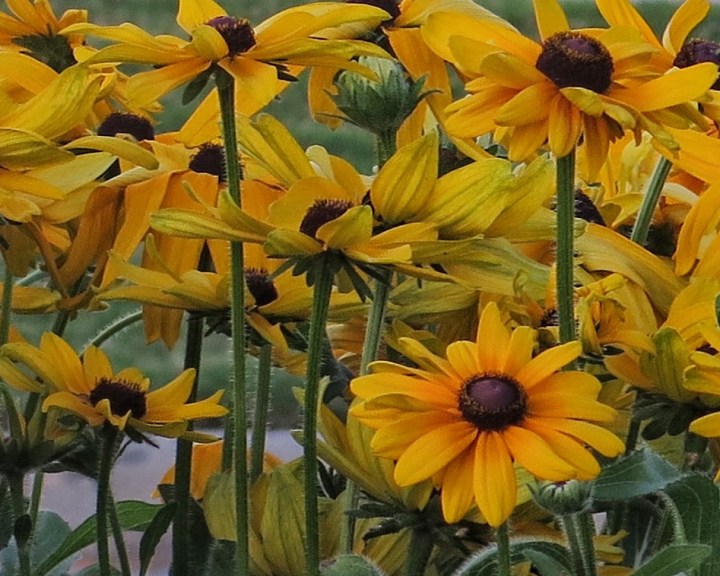 Processed with Snapseed.